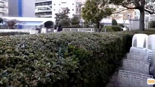 天仙配歌词请收藏这个骚女大学生！细品！多骚！【新款科技约炮神器到货看简阶】
